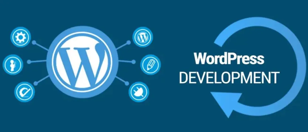 wordpress主题开发：将ACF集成到主题的办法